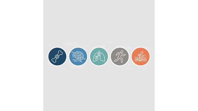 Diagrama visual mostrando as cinco especialidades principais de fisioterapia (Ortopedia, Neurologia, Respiratória, Esportiva, Dermatofuncional) com ícones representativos para cada área