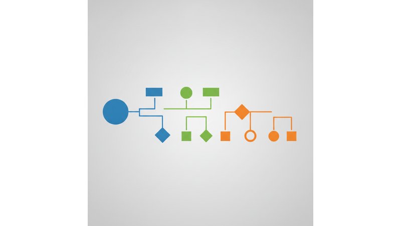 Screenshot ou tabela visual mostrando as 8 referências abaixo formatadas e numeradas, com destaque visual na ordem alfabética