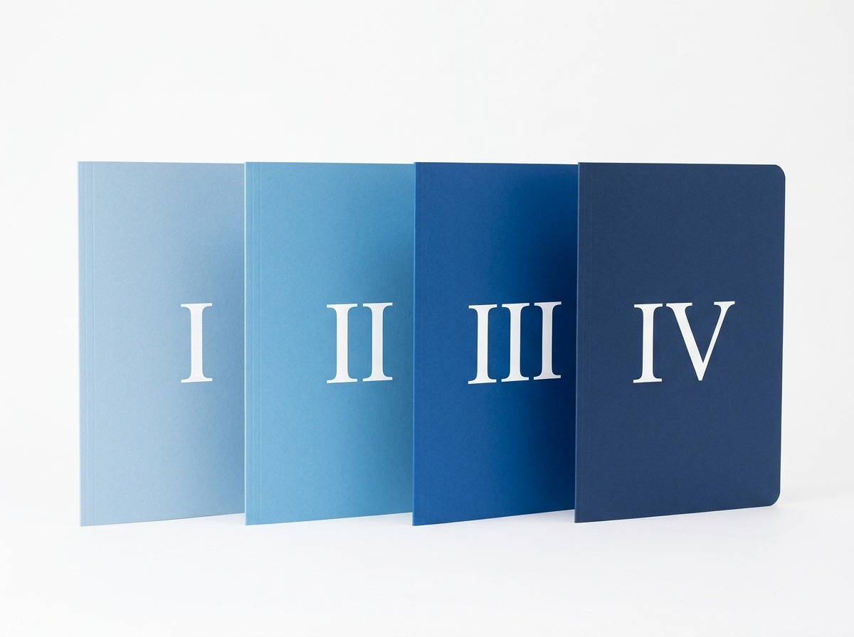 Quatro pastas numeradas representando os níveis I, II, III e IV do projeto de extensão